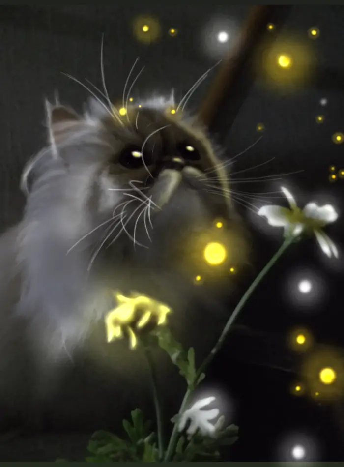 Glowing Cat