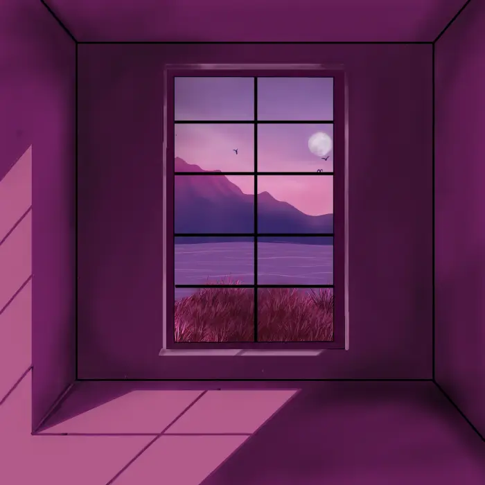 Through the Window